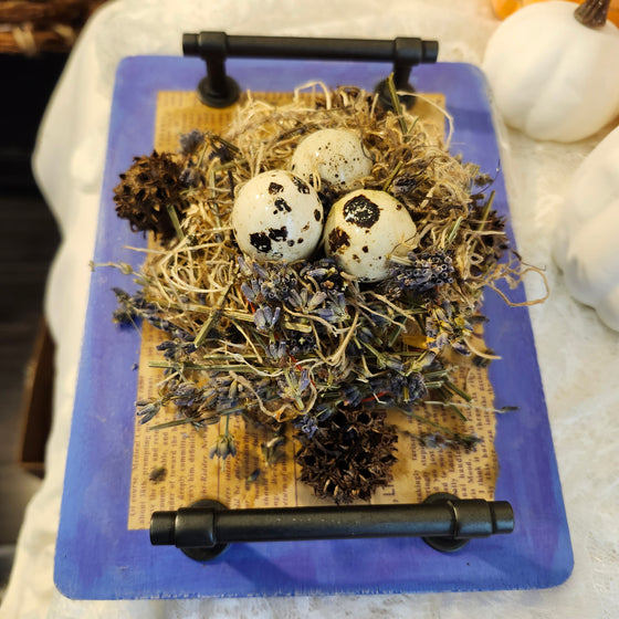 Quail eggs bird nest