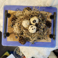  this is a creation by artist Christine c.  it is a birds nest on a tray with handles that contains dried lavendar and real quail egg shells.  